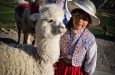 1546084434-Peru_i_Bolivija_Daleke_destinacije_Proleće_Barcino_Tours_17.jpg