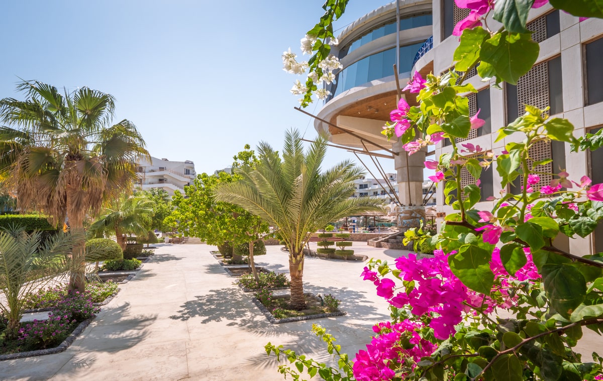Letovanje_Egipat_Hoteli_Avio_Hurgada_Hotel_Seagull-11.jpg