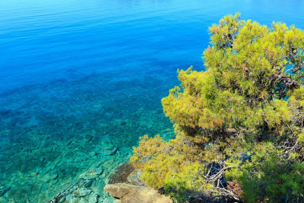 Poseidon Hotel Sea Resort