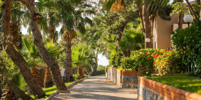 Pine Bay Holiday Resort