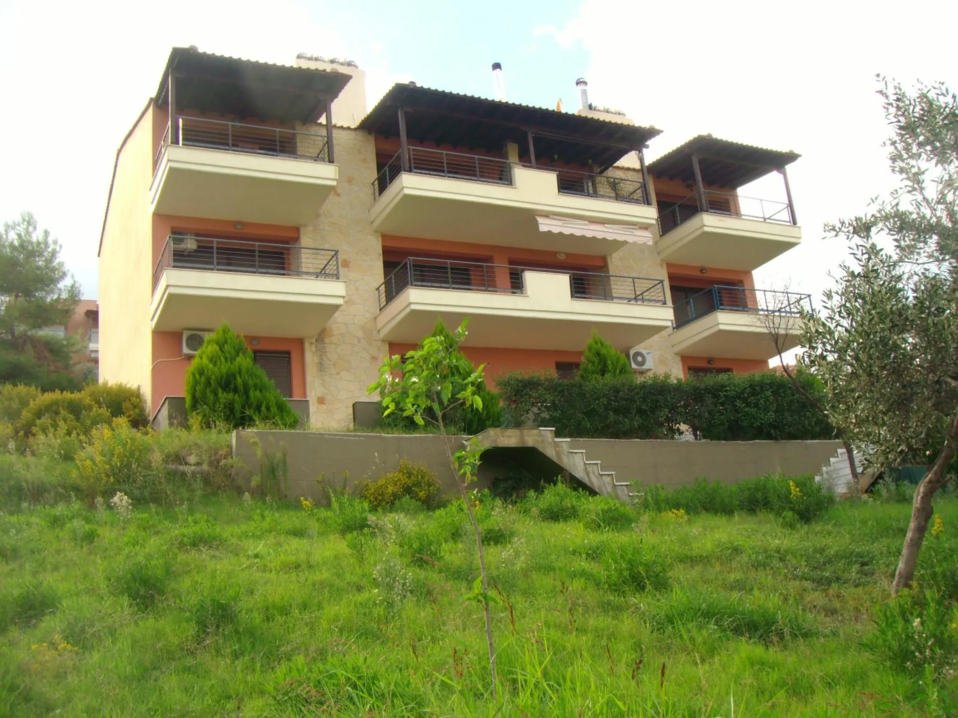 Vila Kripis Paljuri